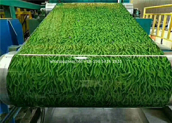 Diseño de flores de alta calidad PPGI / PPGL / bobina de acero galvanizado prepintado CGCC 0.115-1.2mm de China